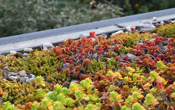 the cost of Lower Hazel green roof installation