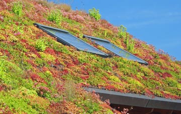 Lower Hazel living roof systems